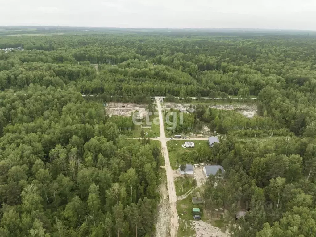 Участок в Новосибирская область, Новосибирский район, Кубовинский ... - Фото 1