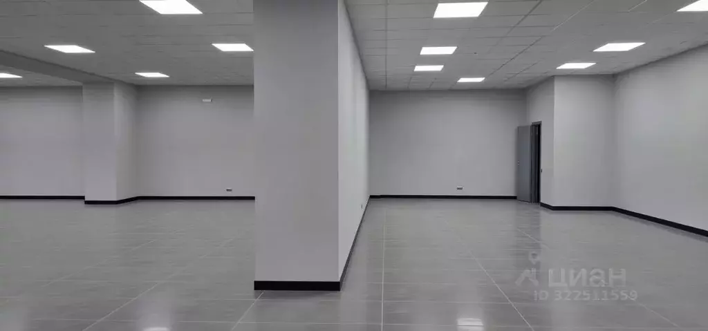 Помещение свободного назначения в Санкт-Петербург, Санкт-Петербург, ... - Фото 2