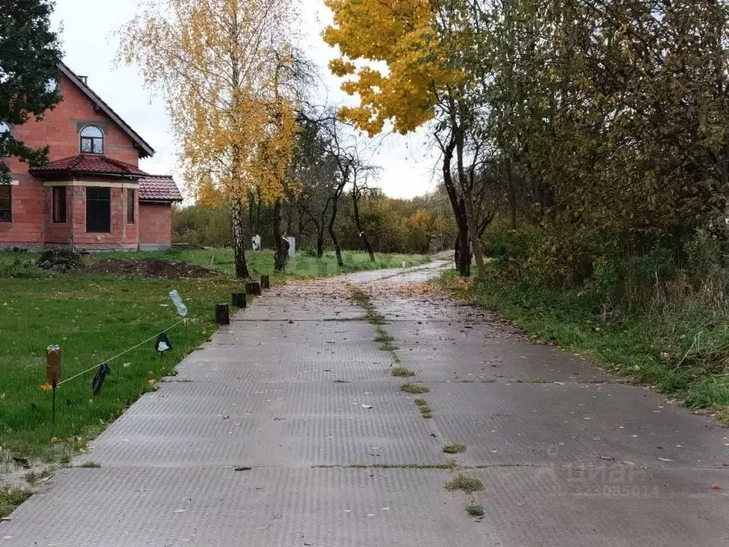 Участок в Калининградская область, Калининград  (7.3 сот.) - Фото 1