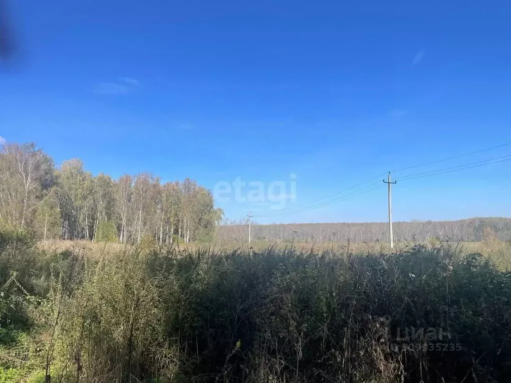 Участок в Челябинская область, Сосновский район, пос. Саргазы ул. ... - Фото 0