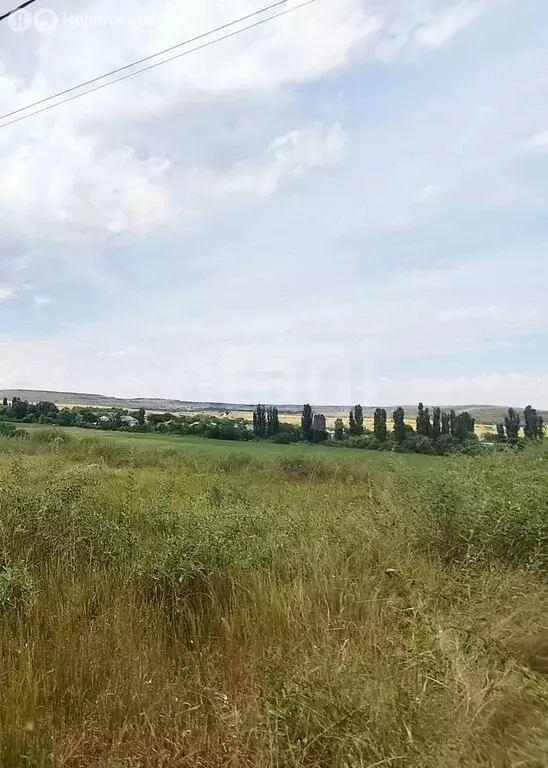 Участок в Вишенное, Заречная улица (12.5 м) - Фото 2
