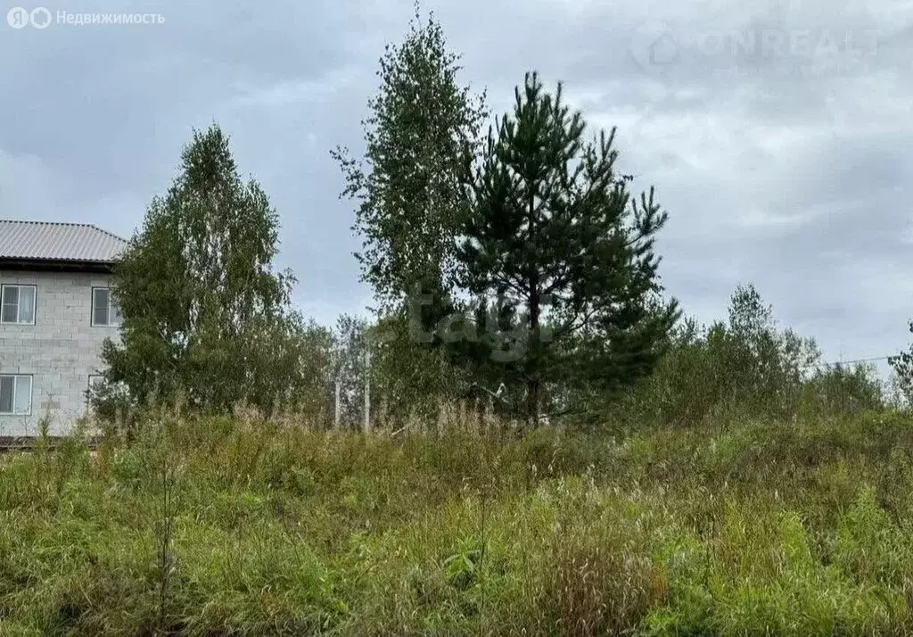 Участок в Новосибирск, Зеленодолинская улица (6 м) - Фото 1