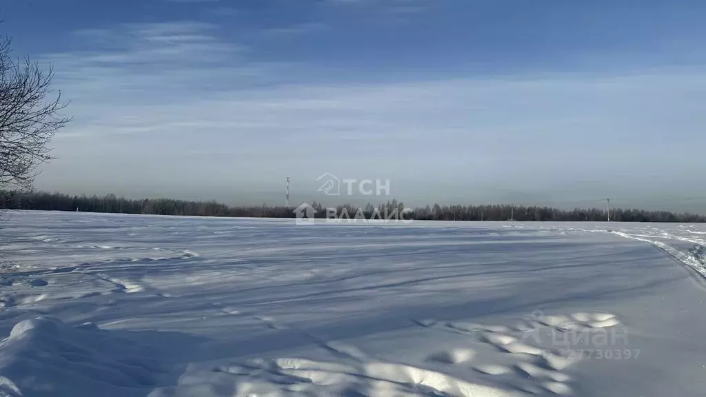 Участок в Московская область, Богородский городской округ, д. Пашуково ... - Фото 2