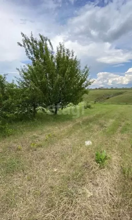 Участок в Белгородская область, Белгород  (9.0 сот.) - Фото 0