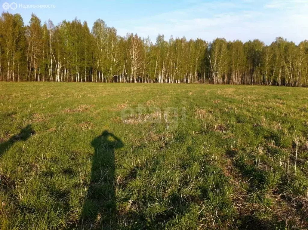 Участок в Нижнетавдинский район, село Бухтал (87 м) - Фото 1