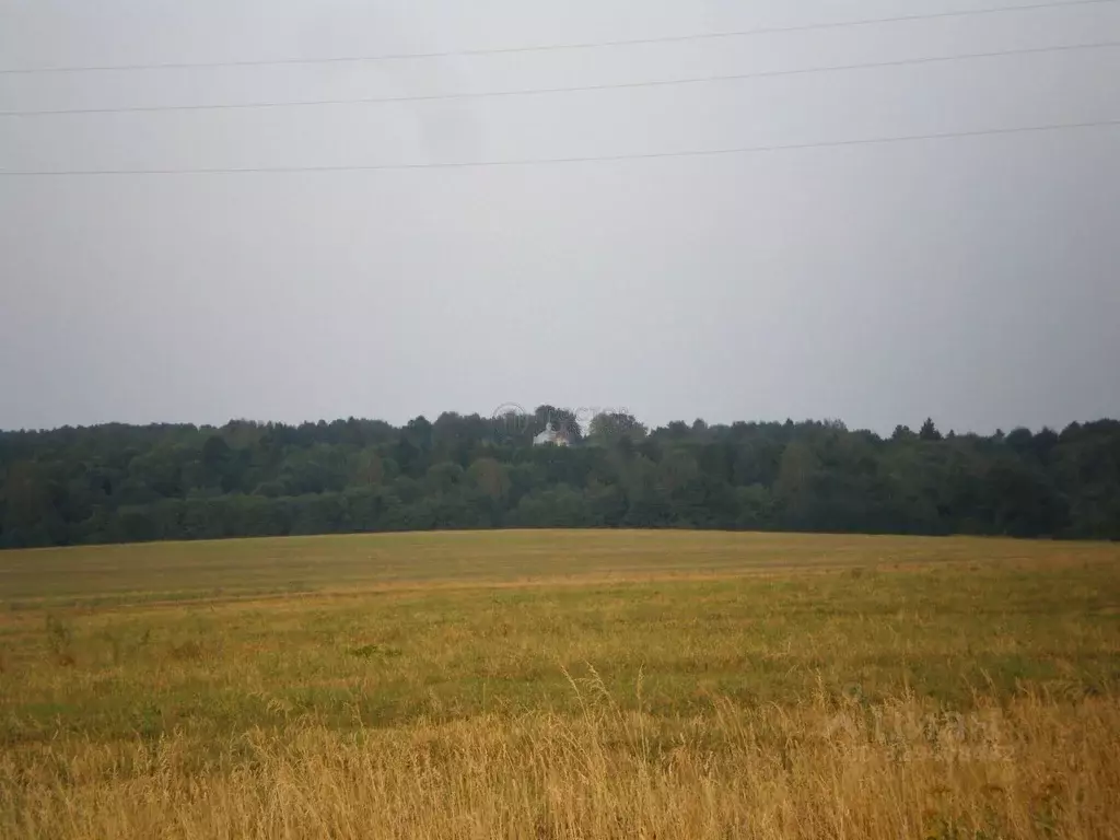 Участок в Московская область, Клин городской округ, д. Золино  (15.0 ... - Фото 2