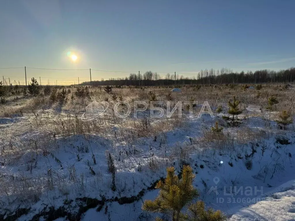 Участок в Тюменская область, Тюменский район, с. Кулига, Кулига-2 мкр  ... - Фото 1