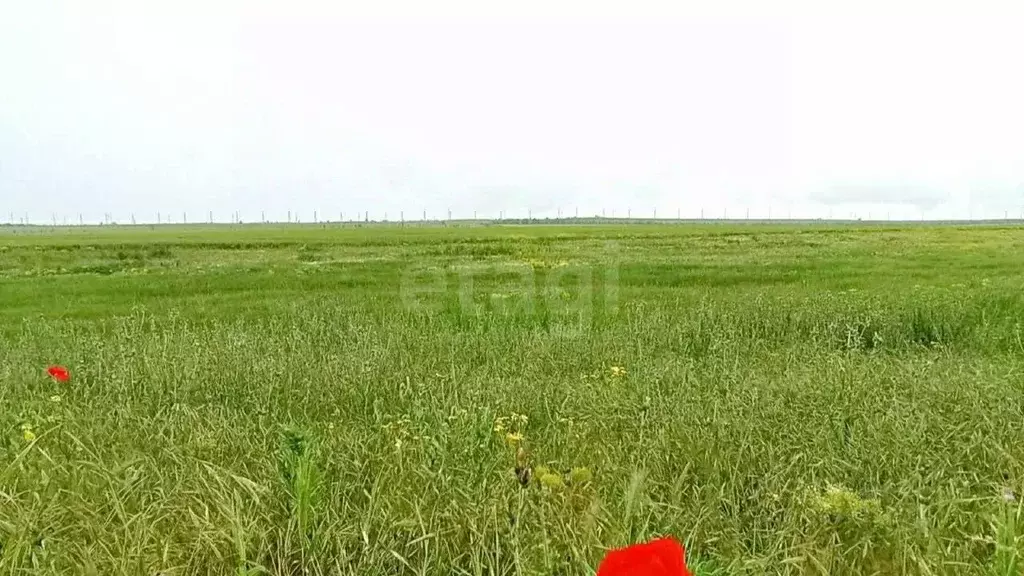 Участок в Крым, Феодосия муниципальный округ, Приморский пгт ул. ... - Фото 1