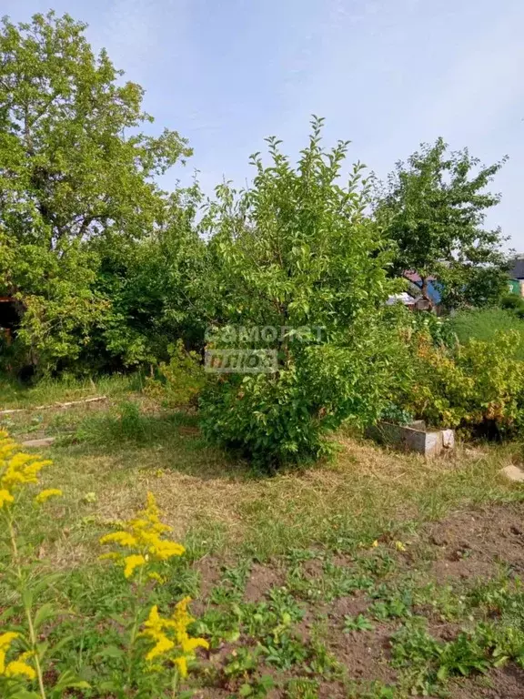 Дом в Костромская область, Кострома Дубки садоводческое товарищество, ... - Фото 1