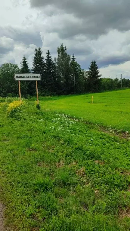 Участок в Ленинградская область, Гатчинский район, д. Новокузнецово ... - Фото 0