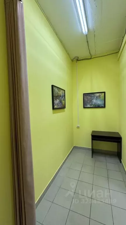 Помещение свободного назначения в Новосибирская область, Новосибирск ... - Фото 1