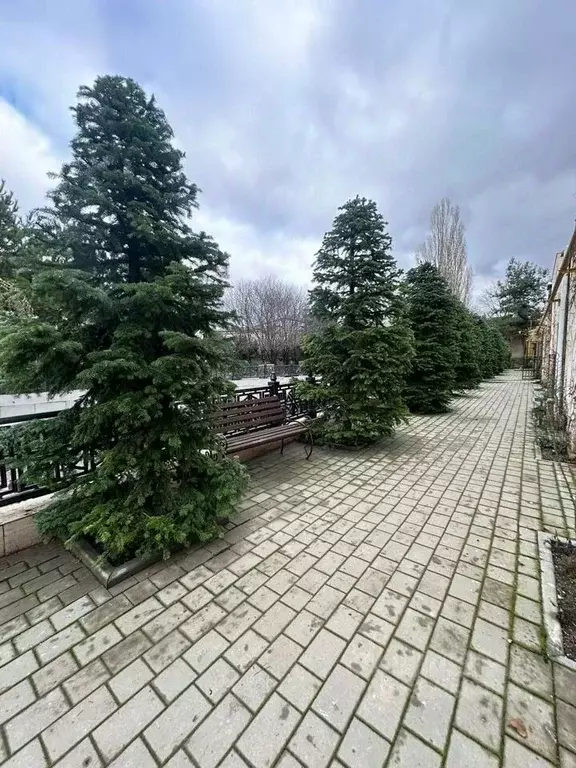 2-к кв. Крым, Симферополь ул. Фруктовая, 25Б (97.8 м) - Фото 1