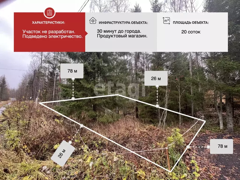 Участок в Архангельская область, Приморский муниципальный округ, ... - Фото 1