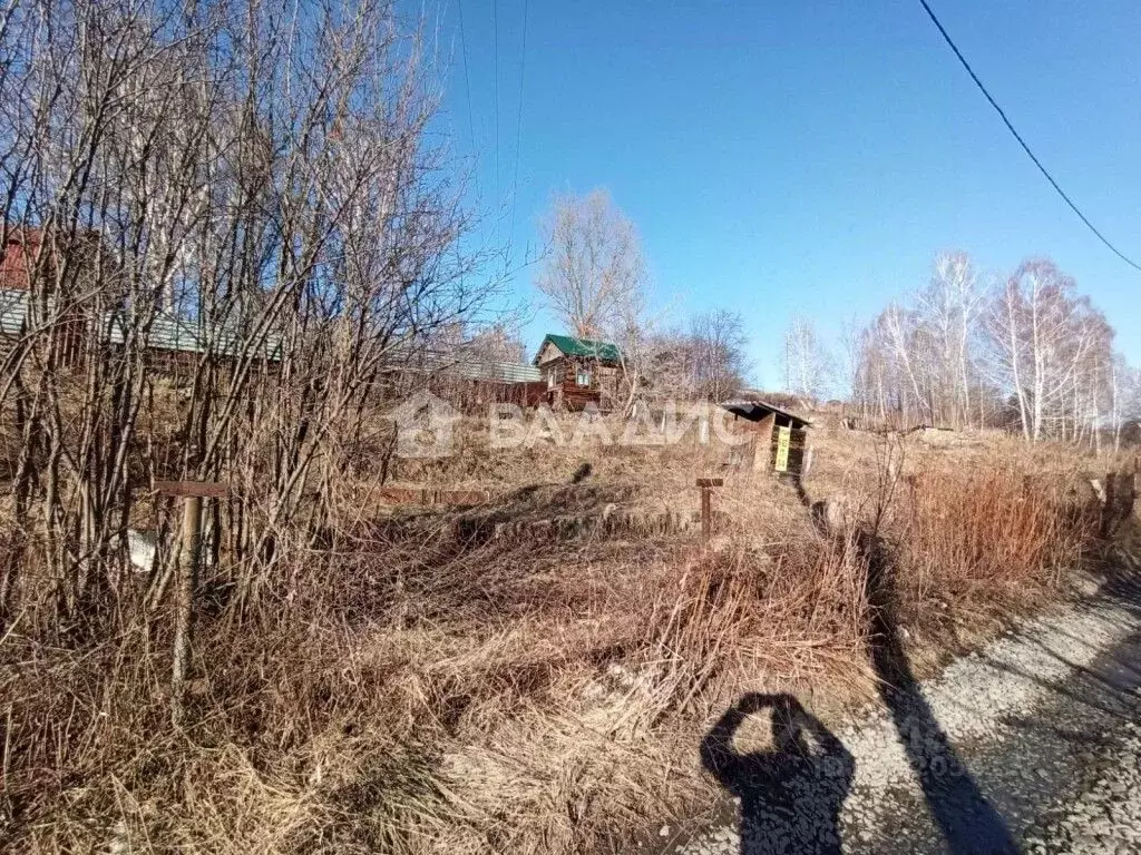 участок в новосибирская область, новосибирский район, барышевский . - Фото 1