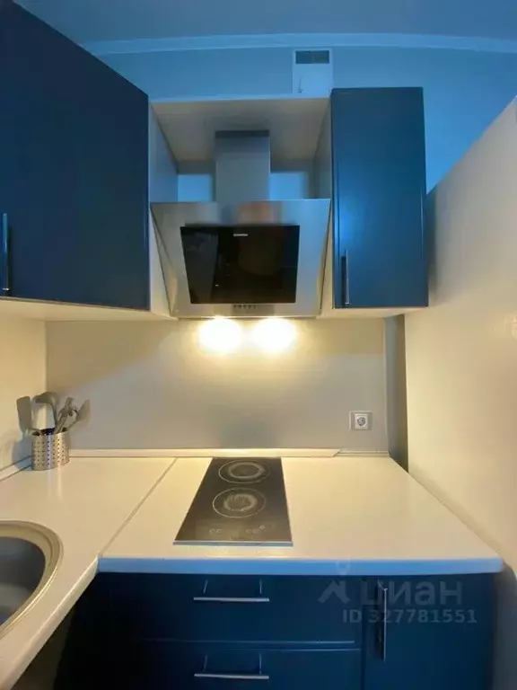 Студия Ленинградская область, Всеволожский район, пос. Бугры бул. ... - Фото 2