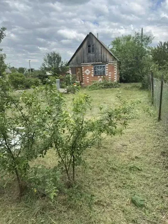 Участок в Воронежская область, Воронеж Сосна СНТ, ул. 12-я, 621 (6.0 ... - Фото 1