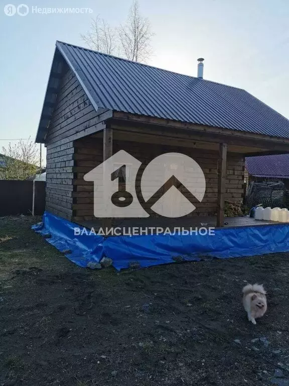 Участок в Криводановский сельсовет, СТ Ёлочка, 2-я улица (8 м) - Фото 0
