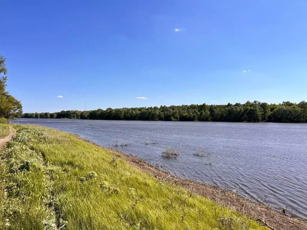 Участок в Воронежская область, Богучарский район, Подколодновское ... - Фото 0