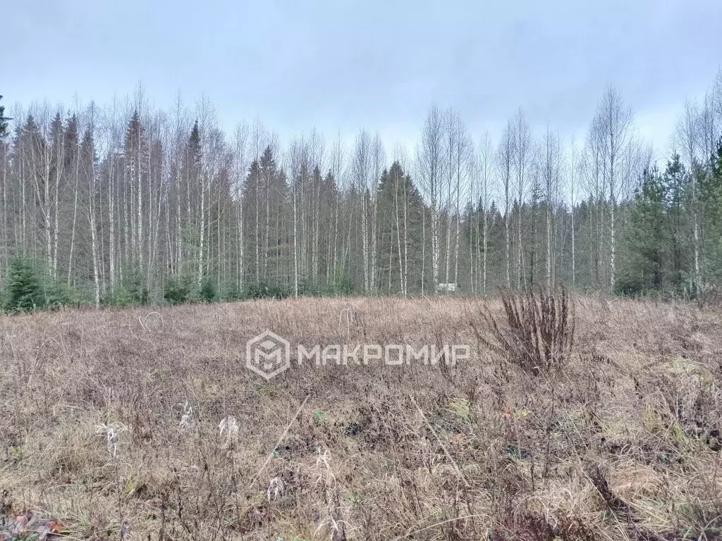 Участок в Кировская область, Кирово-Чепецкий район, Пасеговское с/пос, ... - Фото 2