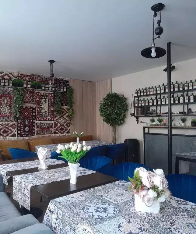 4-к кв. Омская область, Омск Учебная ул., 56 (129.0 м) - Фото 2