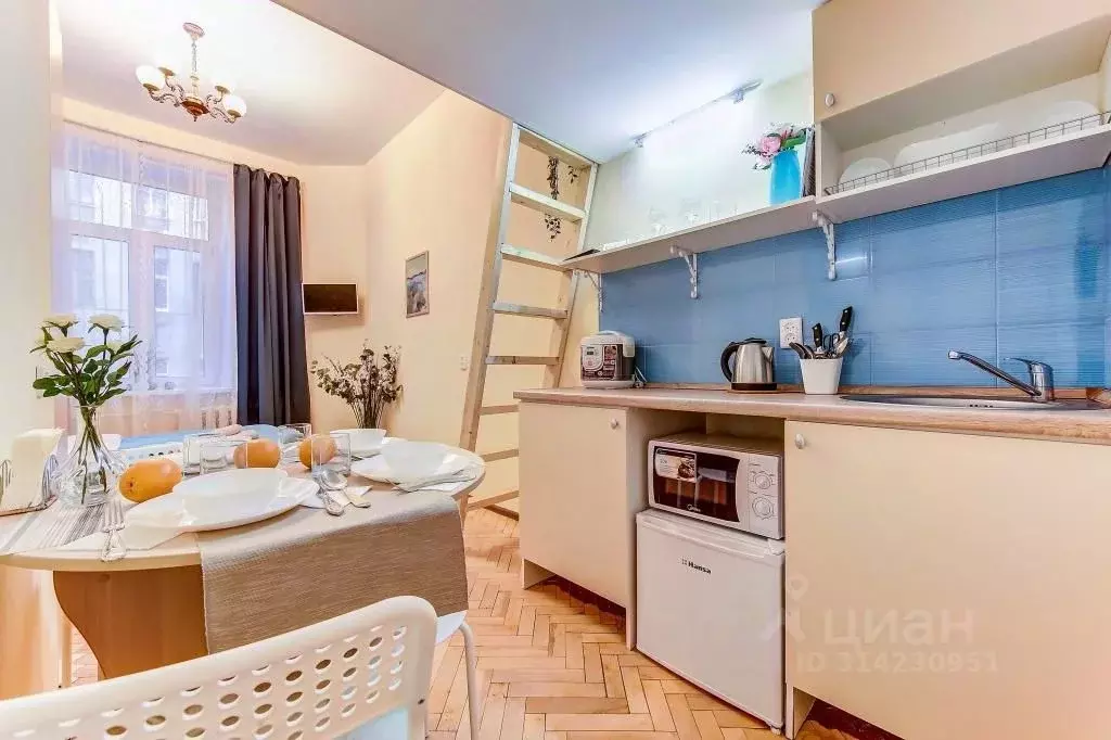 1-к кв. Санкт-Петербург Казанская ул., 33/5 (20.0 м) - Фото 0