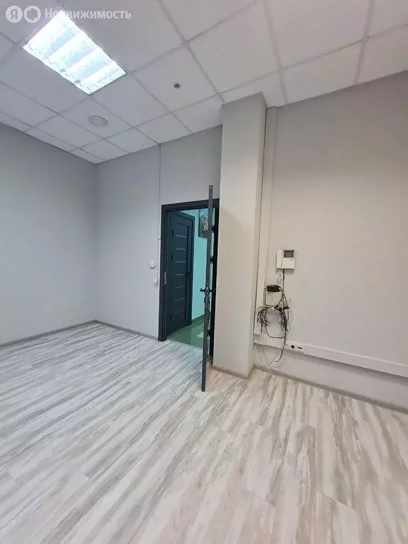 Офис (55.2 м) - Фото 1