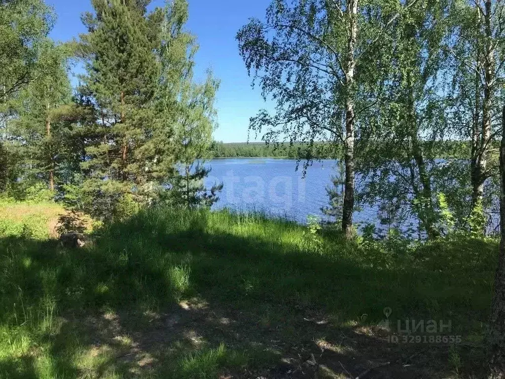 Участок в Костромская область, Кадыйский муниципальный округ, д. ... - Фото 2