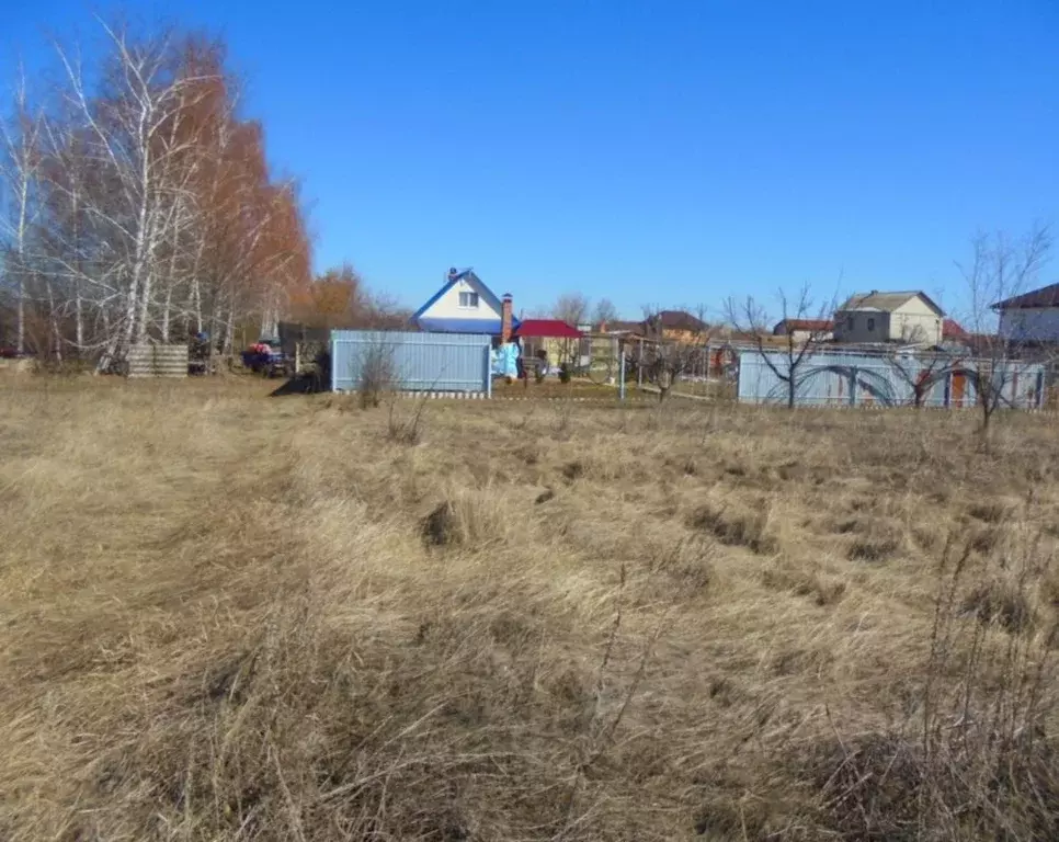 Участок в Саратовская область, Энгельсский район, Терновское ... - Фото 0