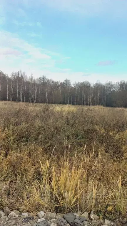 Участок в Татарстан, Высокогорское с/пос  (10.0 сот.) - Фото 1