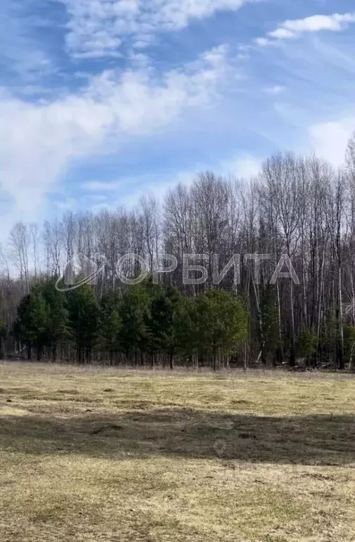 Участок в Тюменская область, Нижнетавдинский район, пос. Кунчур  (7.5 ... - Фото 1