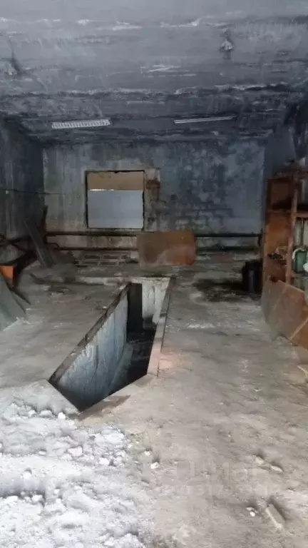 Помещение свободного назначения в Челябинская область, Красноармейский ... - Фото 0