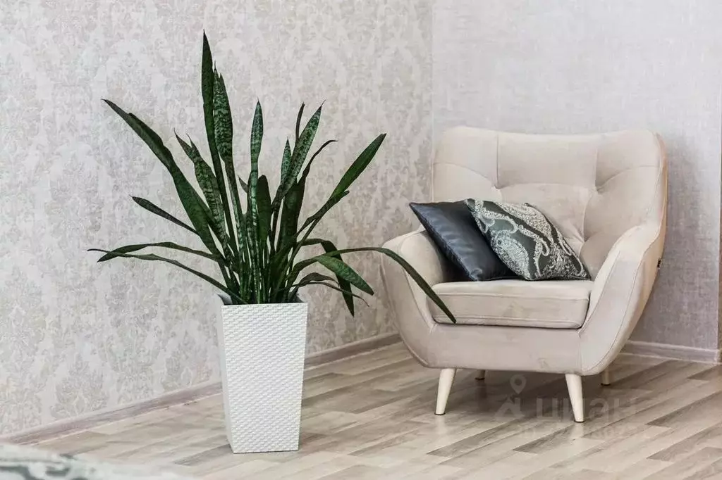 1-к кв. Ростовская область, Ростов-на-Дону ул. Евдокимова, 102Бс2 ... - Фото 1