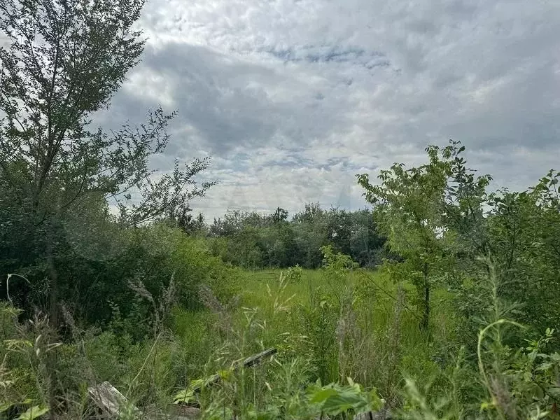 Участок 6 сот. (СНТ, ДНП) - Фото 1