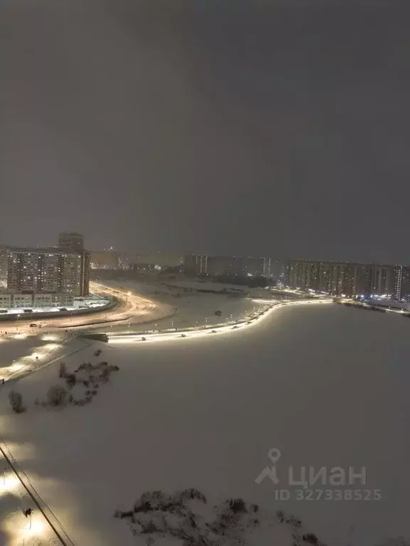 2-к кв. Москва ул. Вертолетчиков, 2к2 (47.0 м) - Фото 1