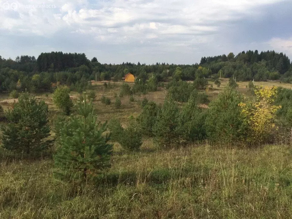 Участок в Новгородская область, Демянский муниципальный округ, деревня ... - Фото 1