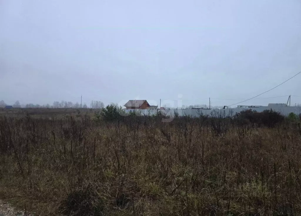 Участок в Брянская область, Брянский район, Новодарковичское с/пос, д. ... - Фото 1