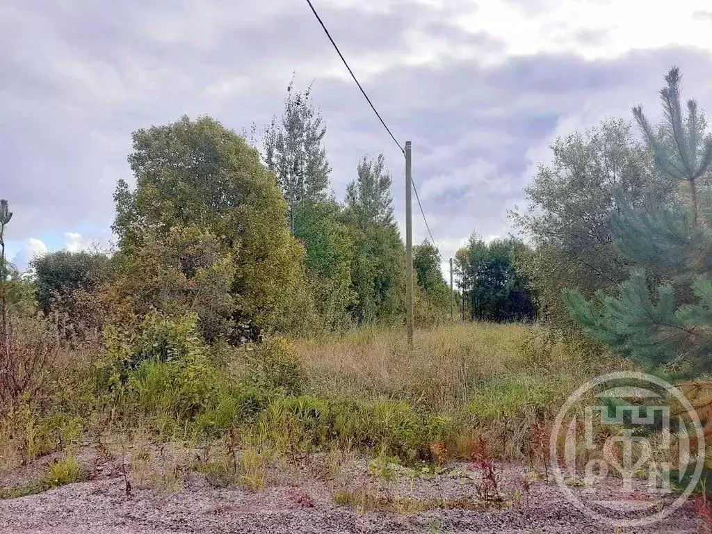 Участок в Ленинградская область, Выборгский район, Красносельское ... - Фото 1