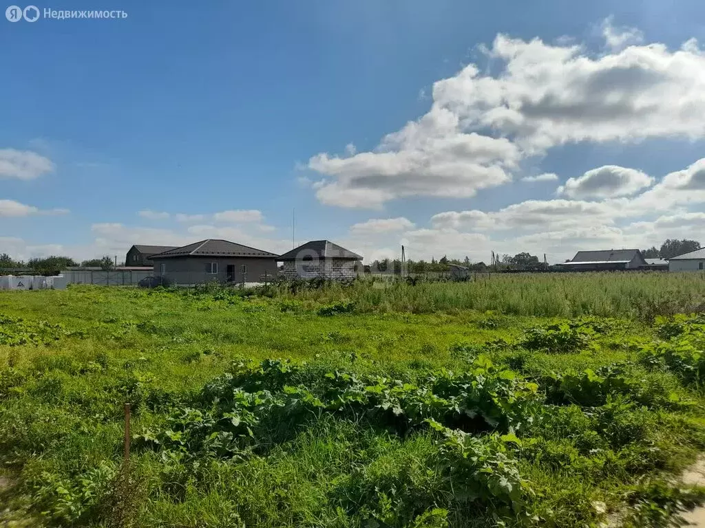 Участок в Псковский район, Завеличенская волость, деревня Родина (7 м) - Фото 1