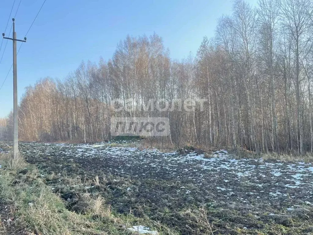 Участок в Тюменская область, Тюменский муниципальный округ, с. ... - Фото 2