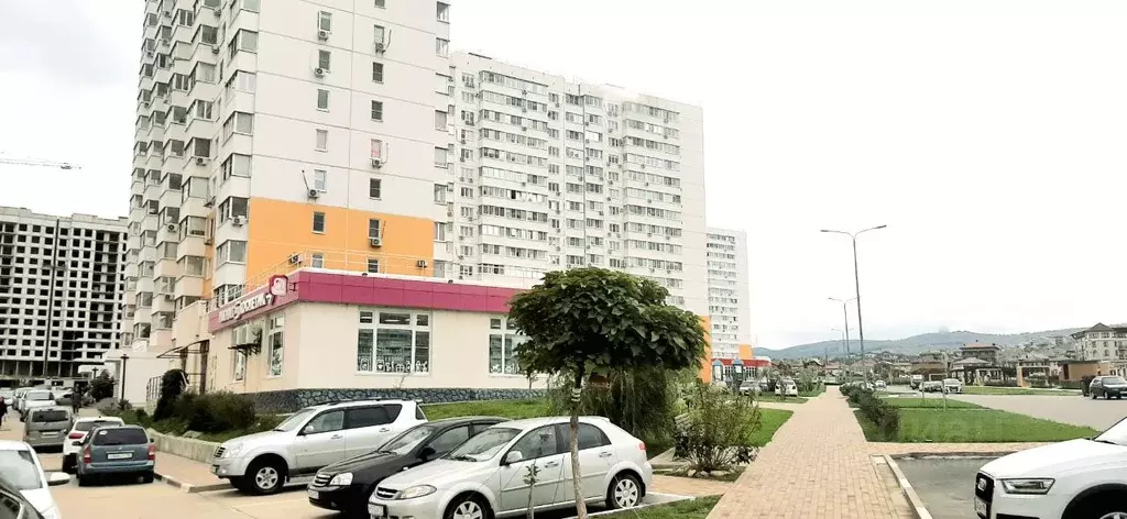 Помещение свободного назначения в Краснодарский край, Анапа ул. ... - Фото 1