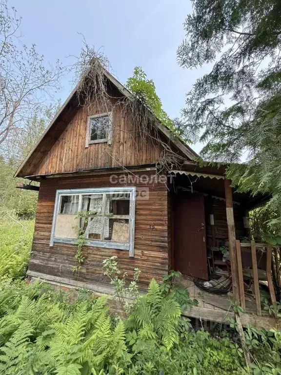 Участок в Московская область, Солнечногорск городской округ, Грачи СНТ ... - Фото 1
