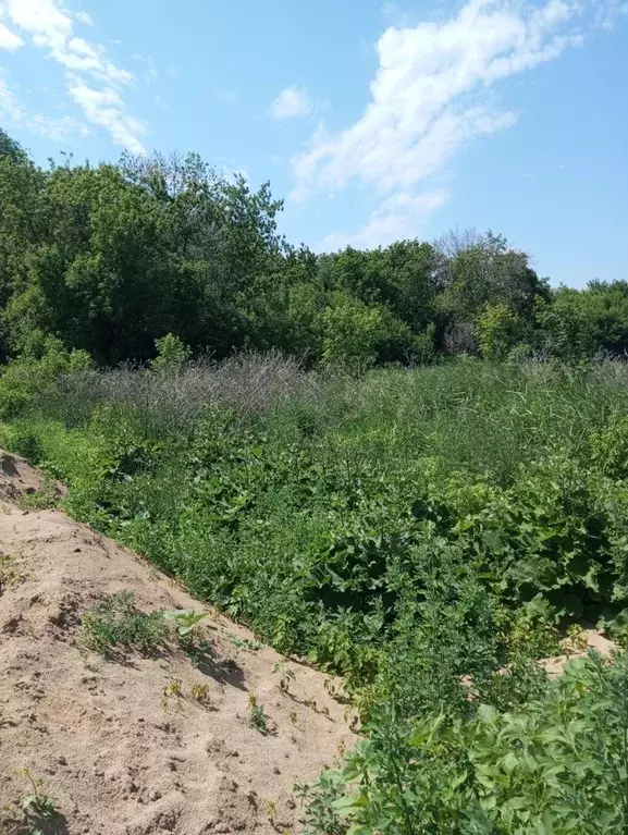 Участок в Ульяновская область, Старая Майна рп ул. Советская (13.0 ... - Фото 0