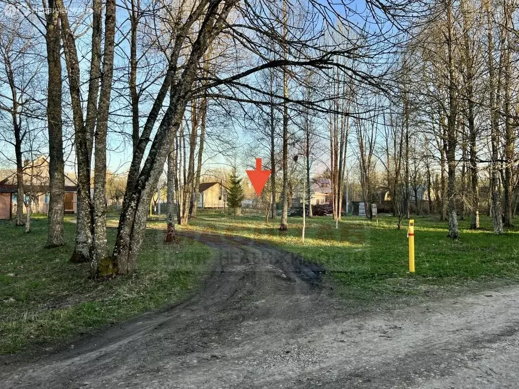 Участок в Волосовский район, Большеврудское сельское поселение, ... - Фото 1