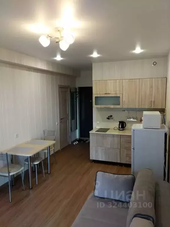 Студия Краснодарский край, Сочи Центральный мкр, пер. Горького, 24 ... - Фото 1