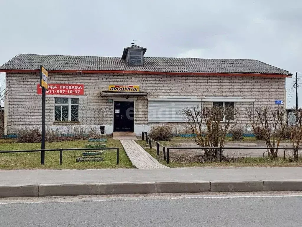 Торговая площадь в Архангельская область, с. Красноборск ул. Двинская, ... - Фото 1