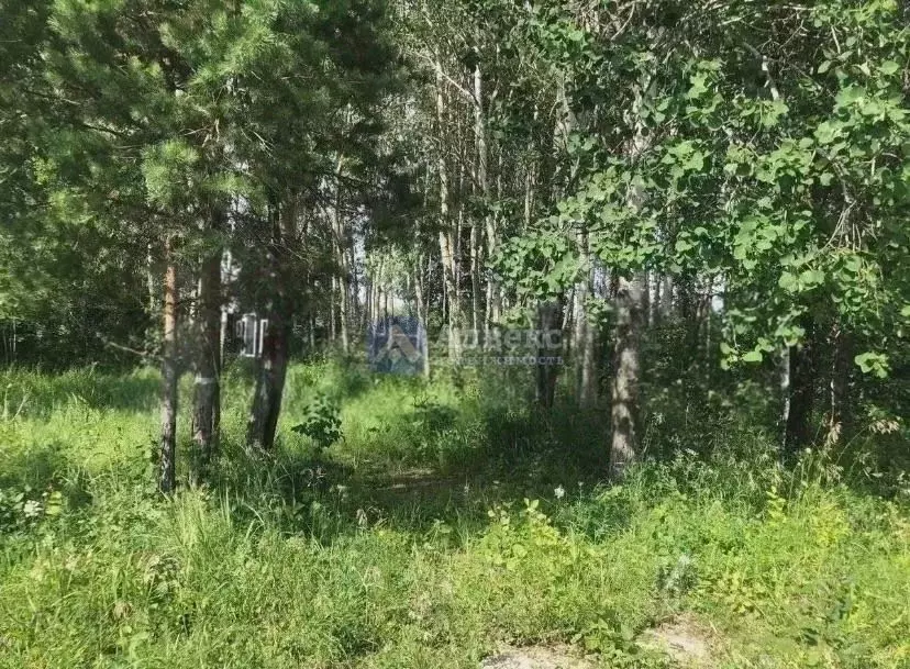 Участок в Тюменская область, Нижнетавдинский муниципальный округ, ... - Фото 2