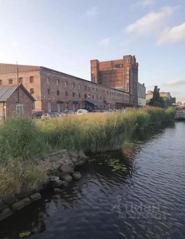 Помещение свободного назначения в Калининградская область, Калининград ... - Фото 2