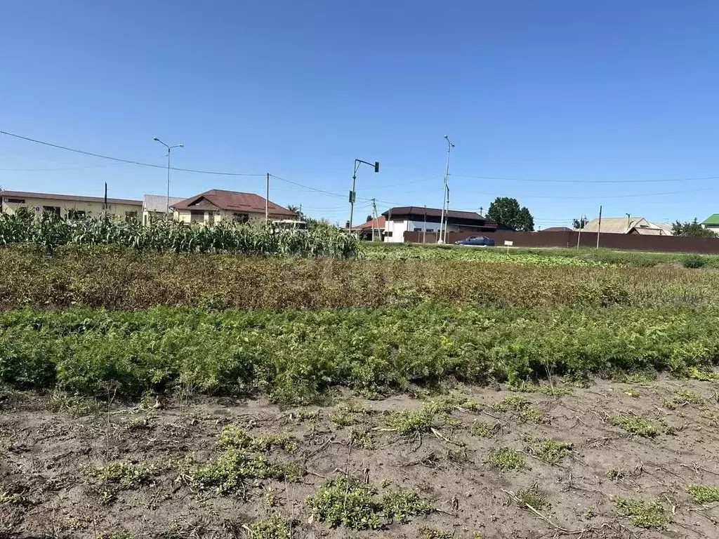 Участок в Белгородская область, Белгородский район, Разумное рп  (11.0 ... - Фото 1