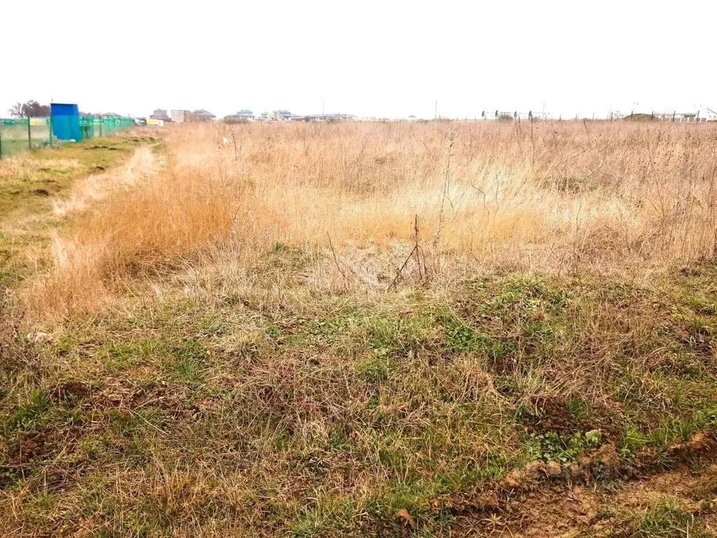 Участок в Краснодарский край, Темрюк Родник садовое товарищество, ул. ... - Фото 0