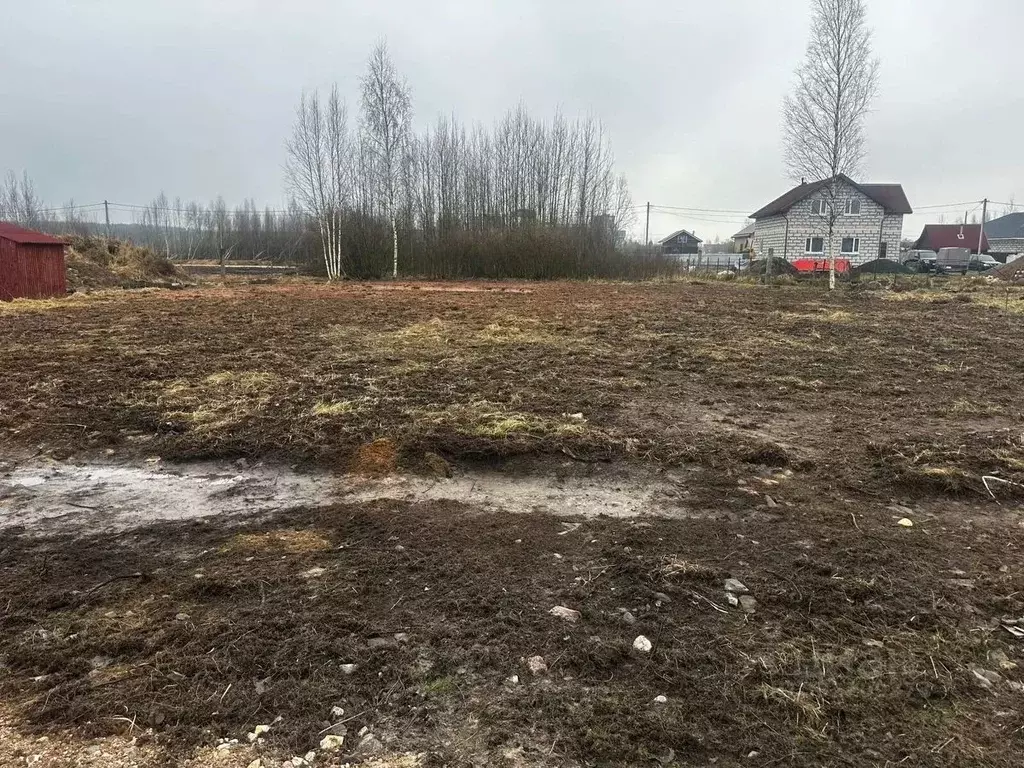 Участок в Новгородская область, Малая Вишера ул. Березовая Аллея (11.0 ... - Фото 2